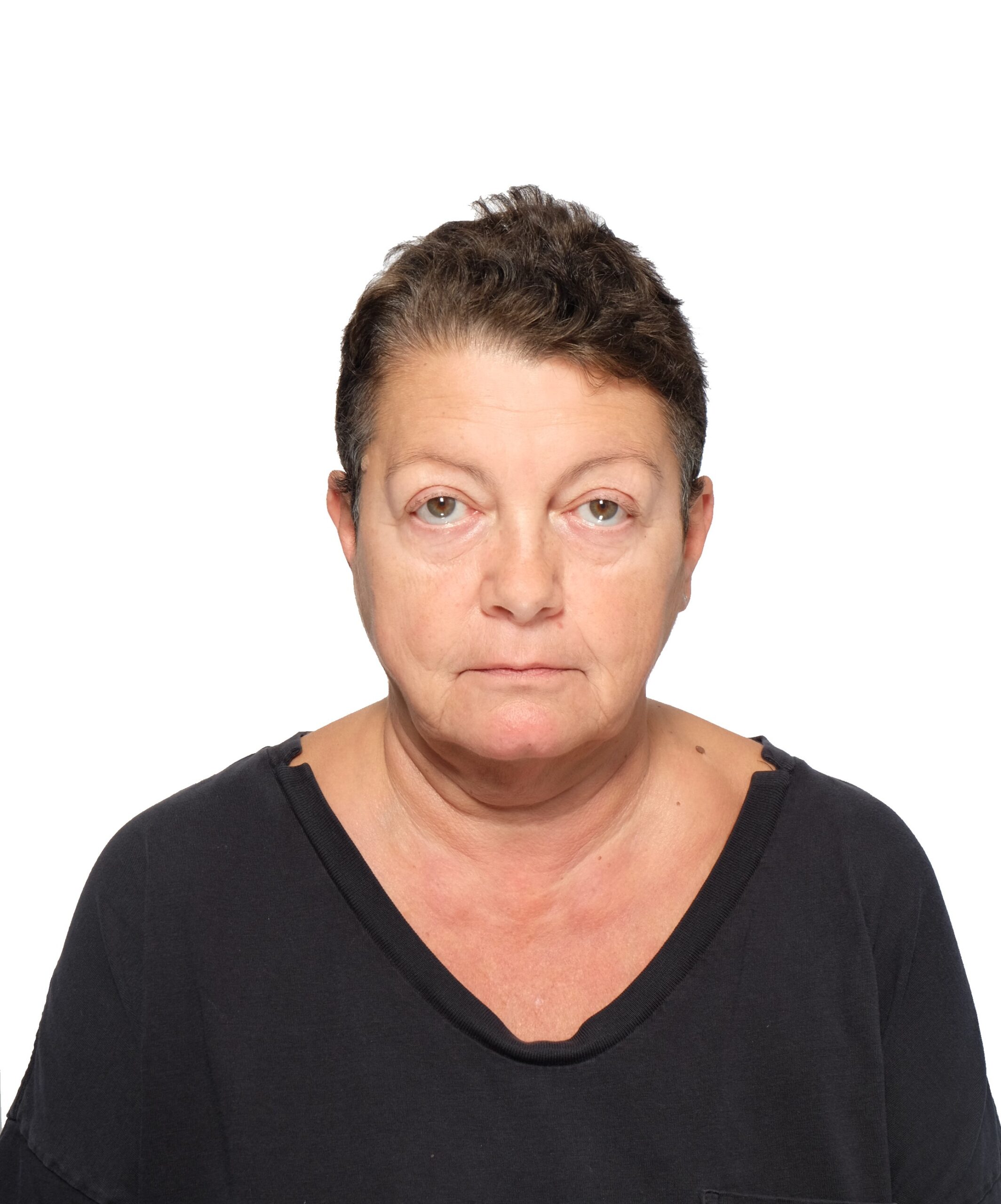 Committee Members & Honorary Chairmen HKIAIA